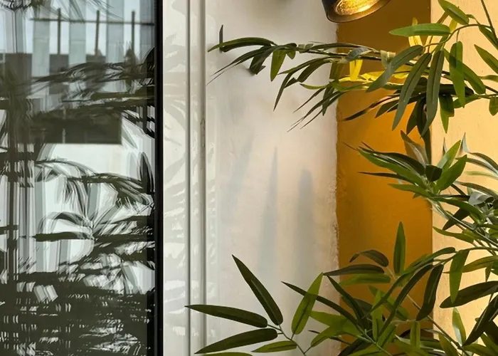 29 Razones Quedarte Lejlighed